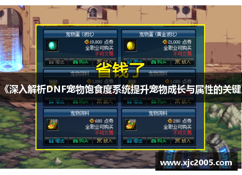 《深入解析DNF宠物饱食度系统提升宠物成长与属性的关键》