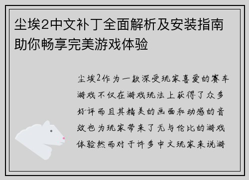 尘埃2中文补丁全面解析及安装指南 助你畅享完美游戏体验